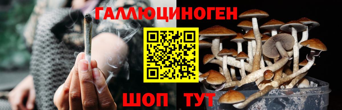 Псилоцибиновые грибы прущие грибы Самара
