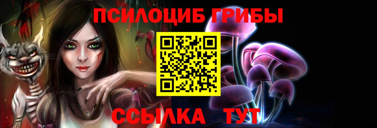 Галлюциногенные грибы MAGIC MUSHROOMS  Вход с VPN  Самара 